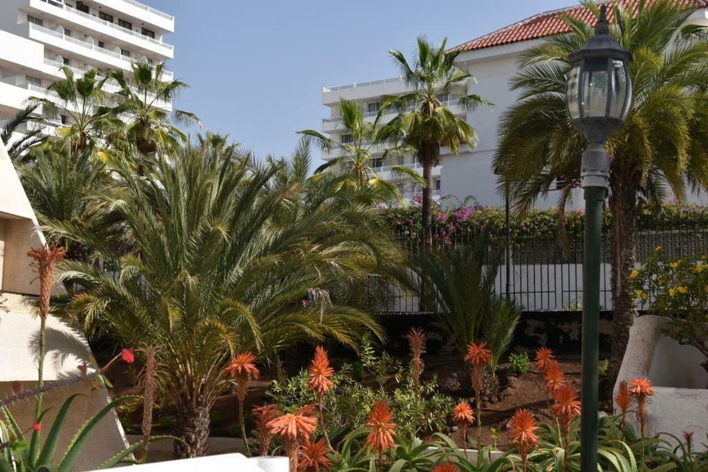ארונה Apartamento Las Veronicas מראה חיצוני תמונה
